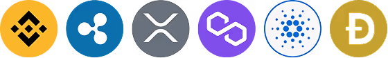 Badge certificato di partnership finanziaria Welkrotivax